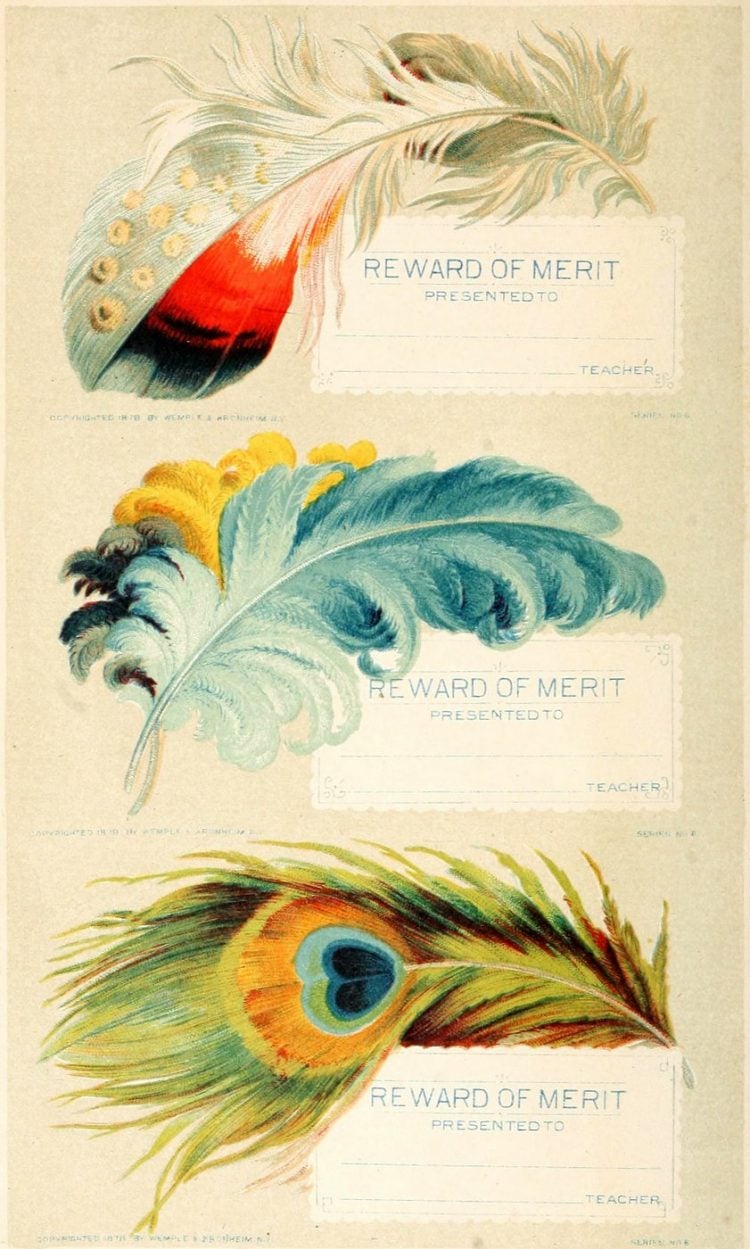 Antique school reward certificates (1)