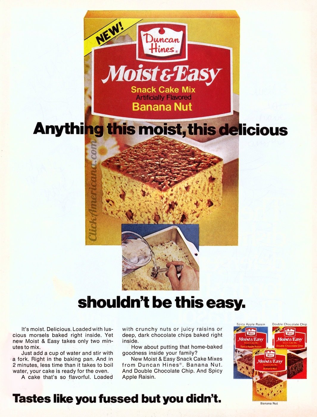 Duncan Hines Moist and Easy snack cake mix (1976)
