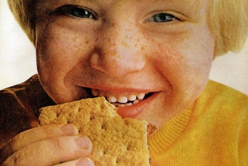 Frozen pudding graham cracker sandwich recipe