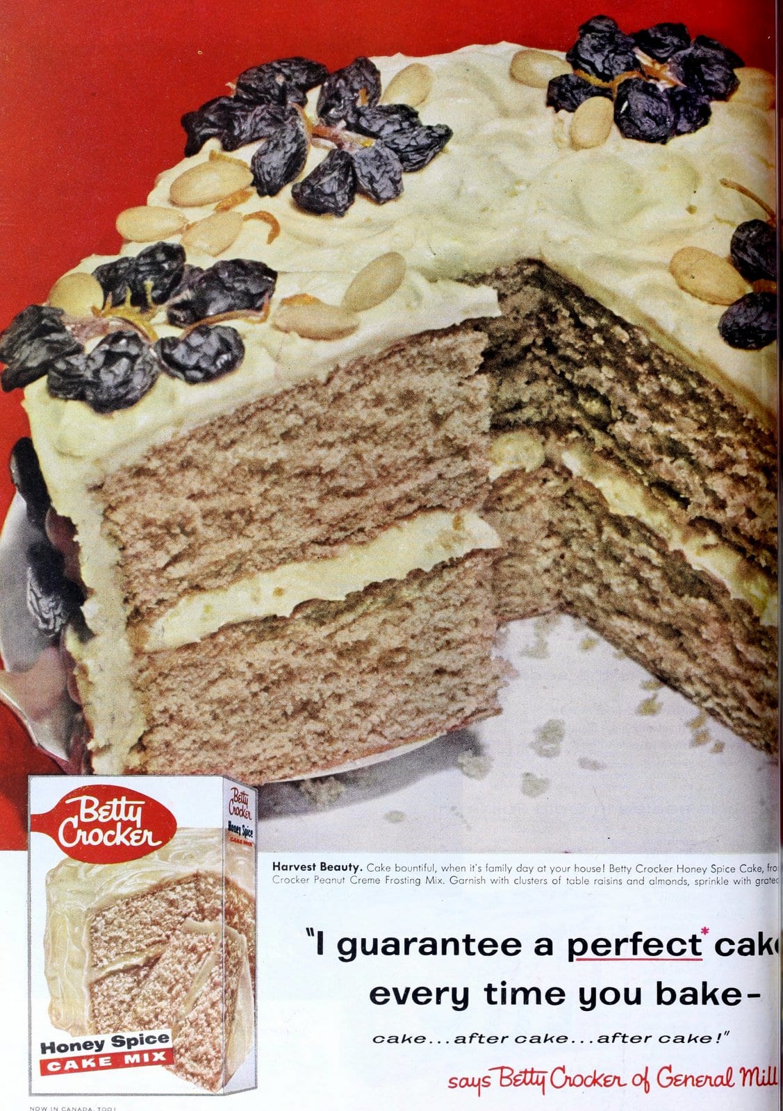 Old-fashioned discontinued Honey Spice cake mix from Betty Crocker (1956)