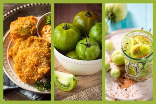 Old-fashioned recipes for green tomatoes